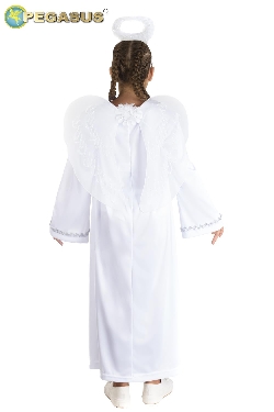 ANGELO RAGAZZA (ARGENTO)